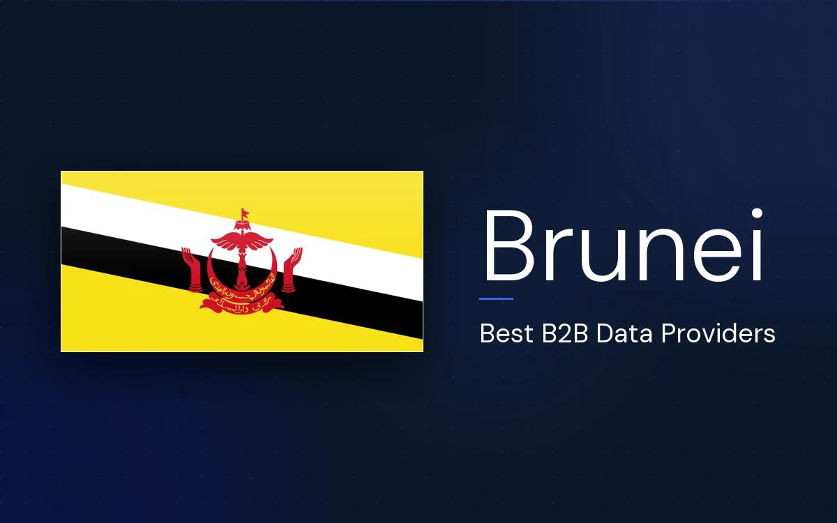 6 Best B2B Data Providers in Brunei in 2026